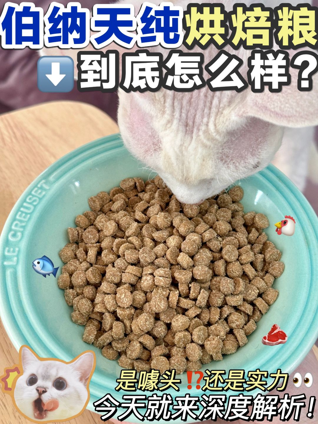 这难道是“真鲜肉”烘焙粮？真实测评来喽