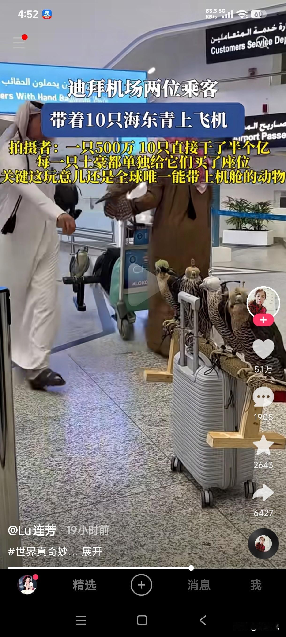 原来全球唯一能带上飞机的动物是海东青，它的价格更是贵的惊人，每只海东青的价格居然