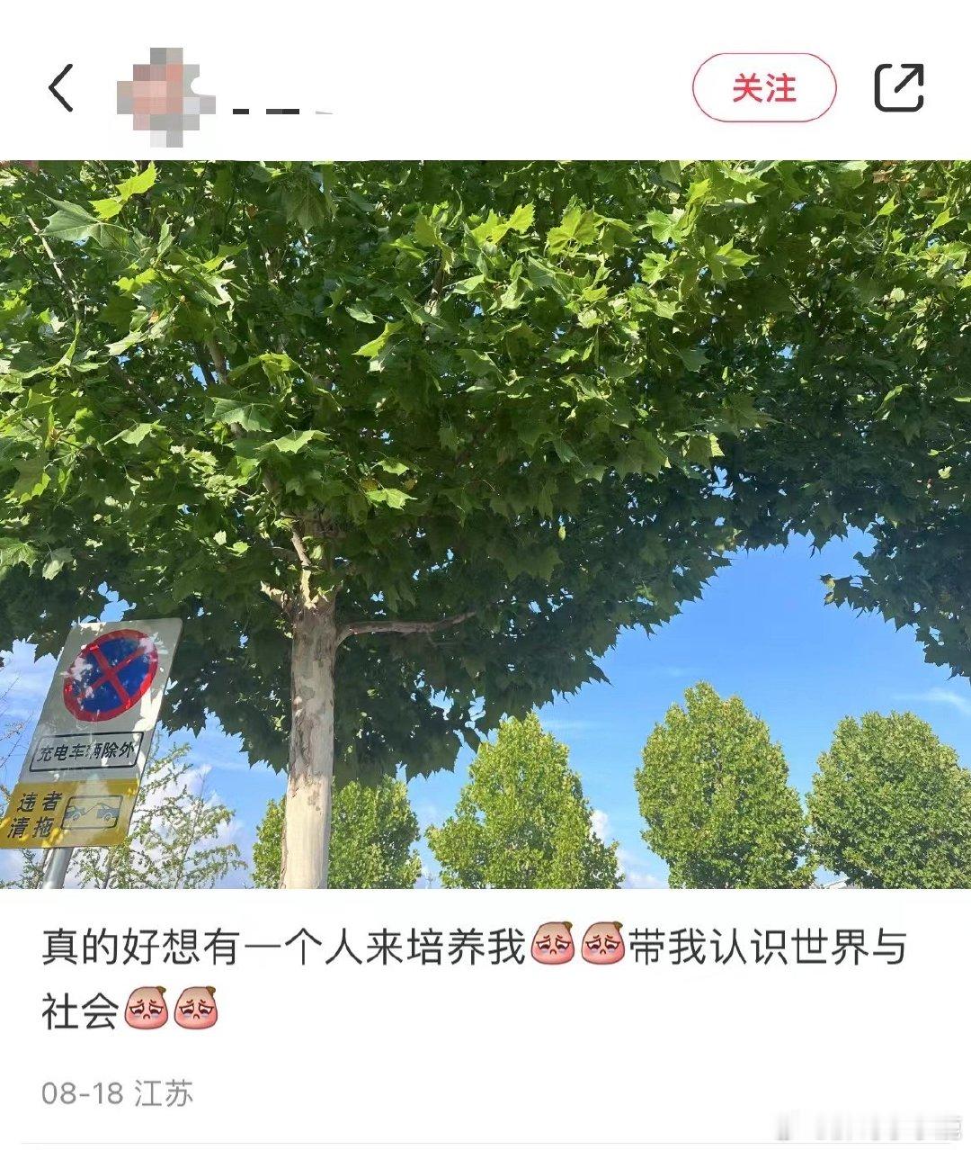 #国产浪漫# ​​​