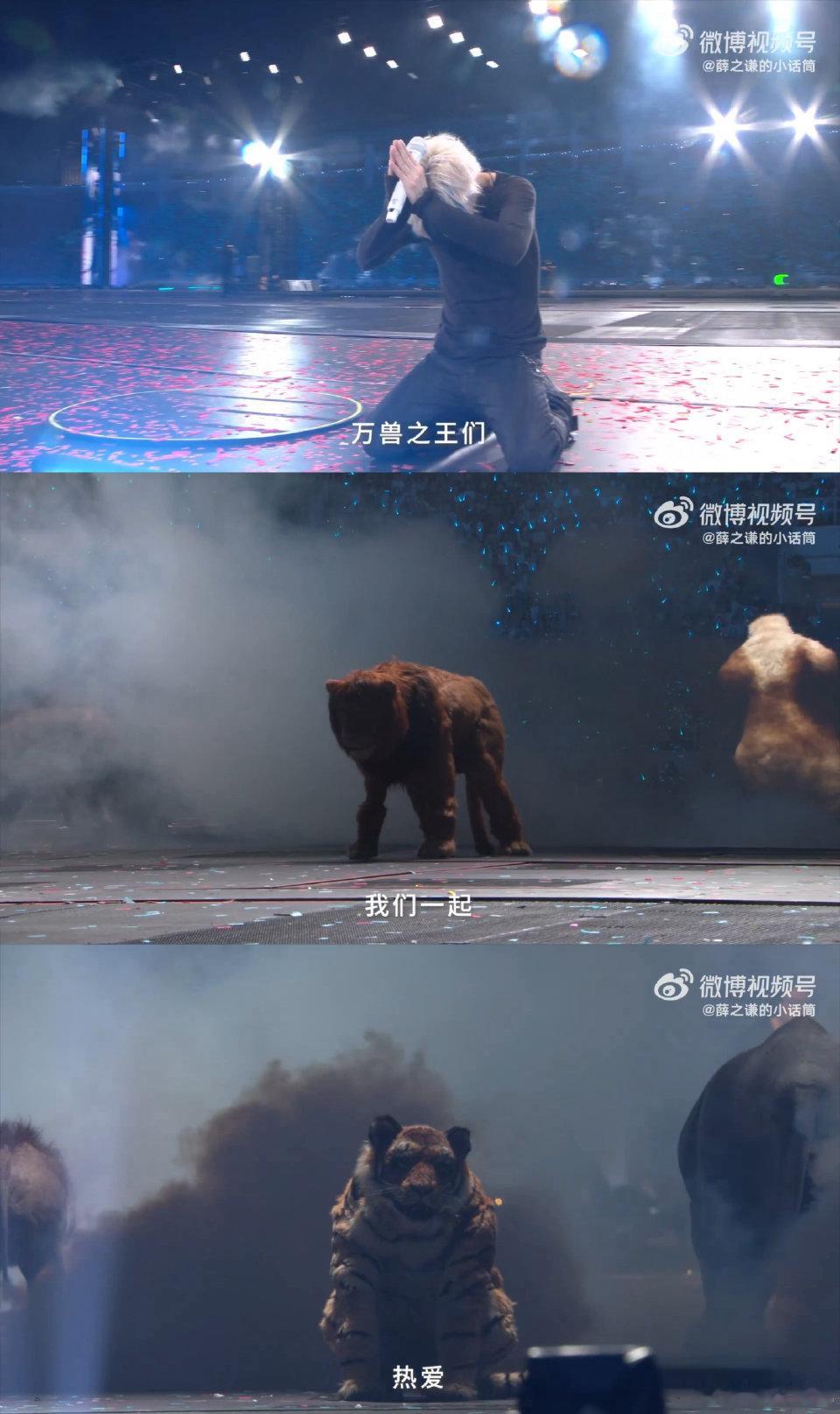 薛之谦万兽之王的幕后三分半薛之谦三分半的视频让我哭了好多次真心永远是最动人的必杀