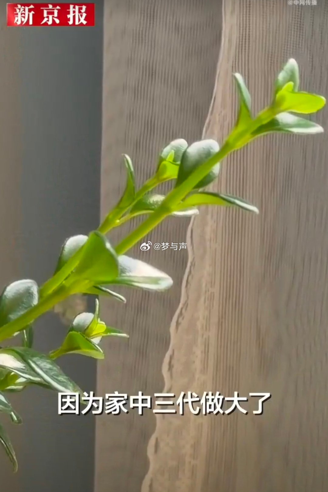 女入殓师三十年只为女性料理白事 天津女入殓师一家三代从事殡葬行业三十年风雨兼程，