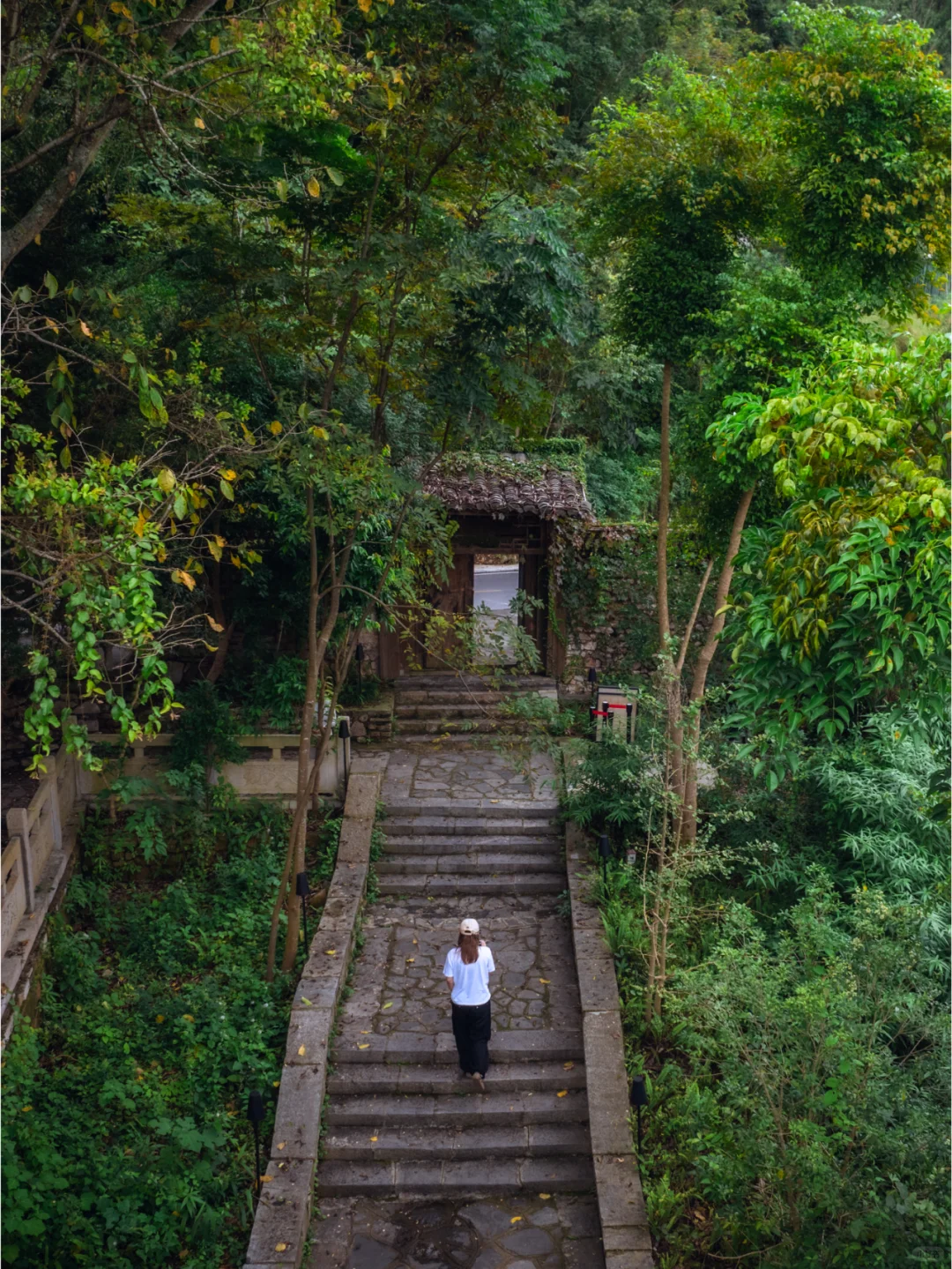 旅行没有固定形式，隐奢之旅成为旅行新宠儿