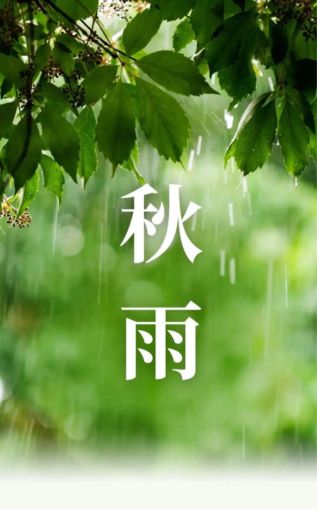 【原创作品】
七绝•秋雨落蓉城
    文/张和平
疏雨泠泠洗锦城，
梧桐叶底作