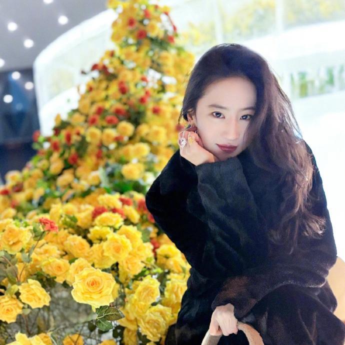 刘亦菲头像大法：超级旺旺旺事业💐💐💐