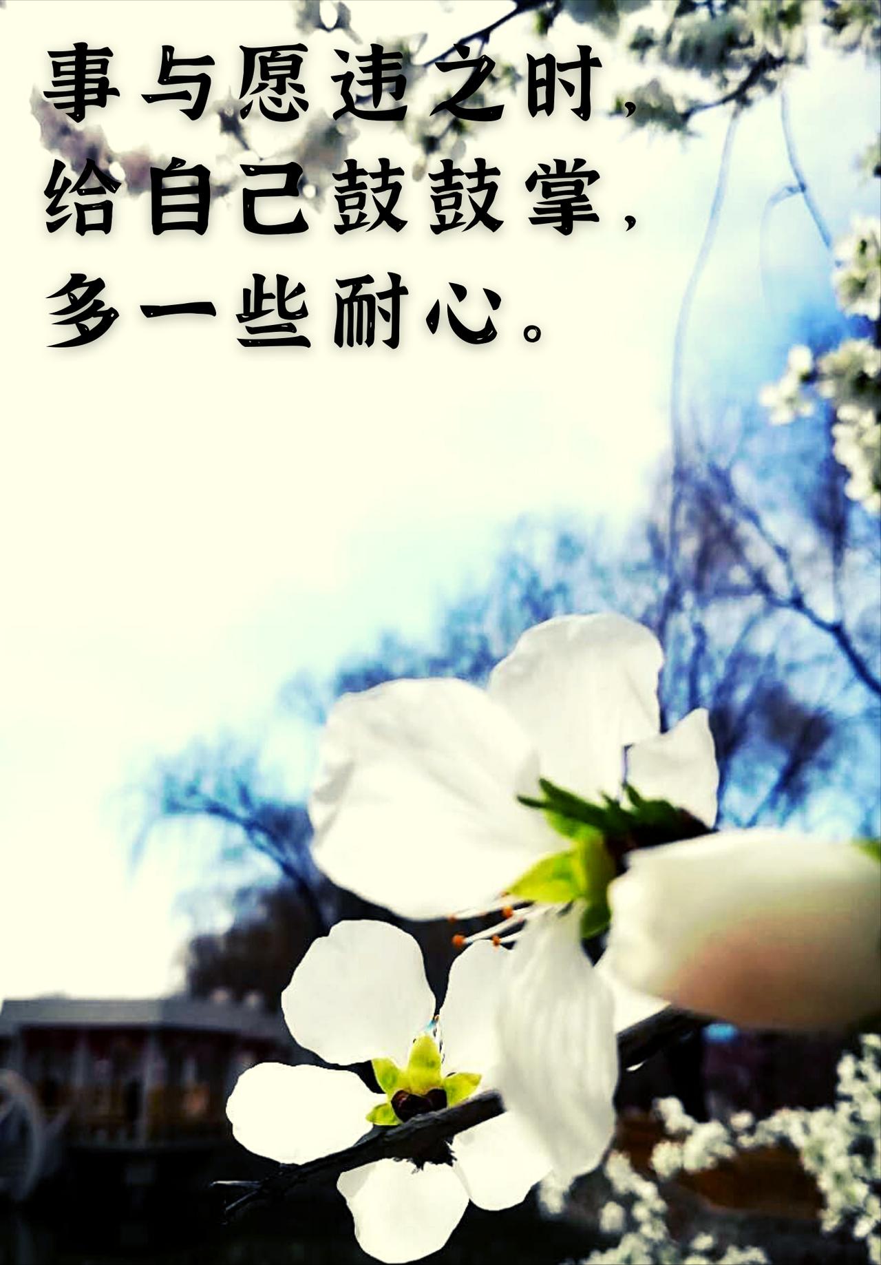 我们越刷手机，越觉得身边没什么好看的？

早上刷到一条短视频，
说某某地方是“此