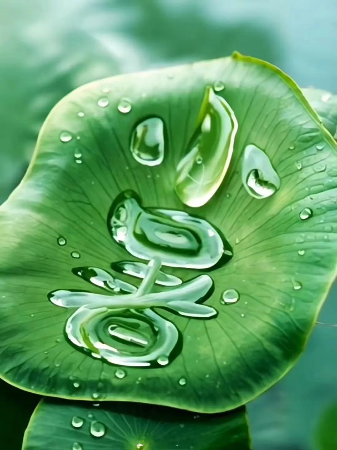 △🌱 ʜᴇʟʟᴏ 小暑 ◡̈ 🍉小暑至 盛夏时愿你如夏日艳阳灿烂明媚也如林间