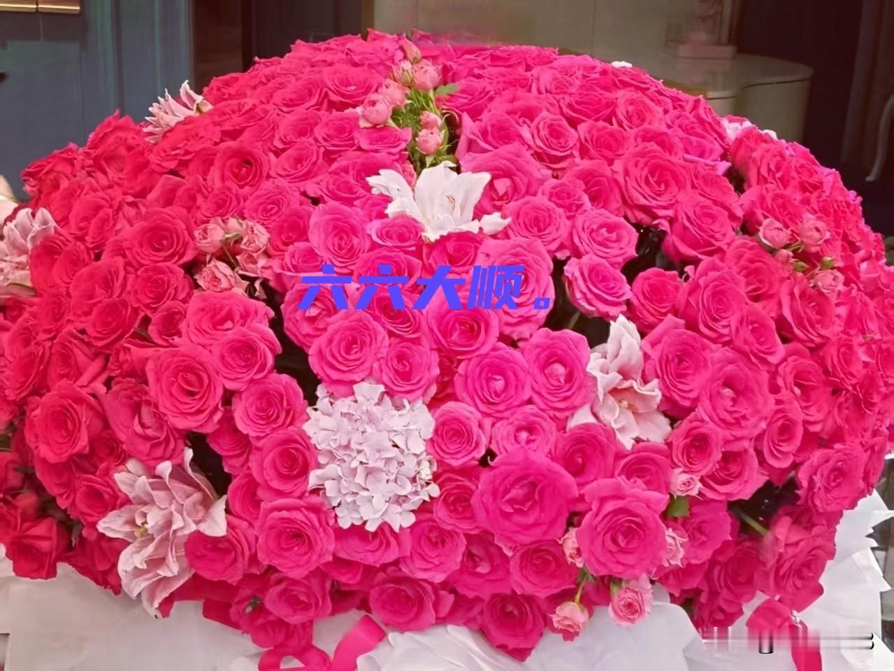 大年初六喜盈门，
六六大顺福满门。

纳福八方来开门，
马年顺遂迎进门。

顺顺