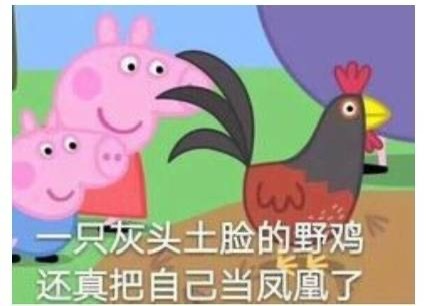 曝田栩宁梓渝线下演出被叫停 这词条拉谁共沉沦呢，音乐节演唱会频率堪比上厕所的只有