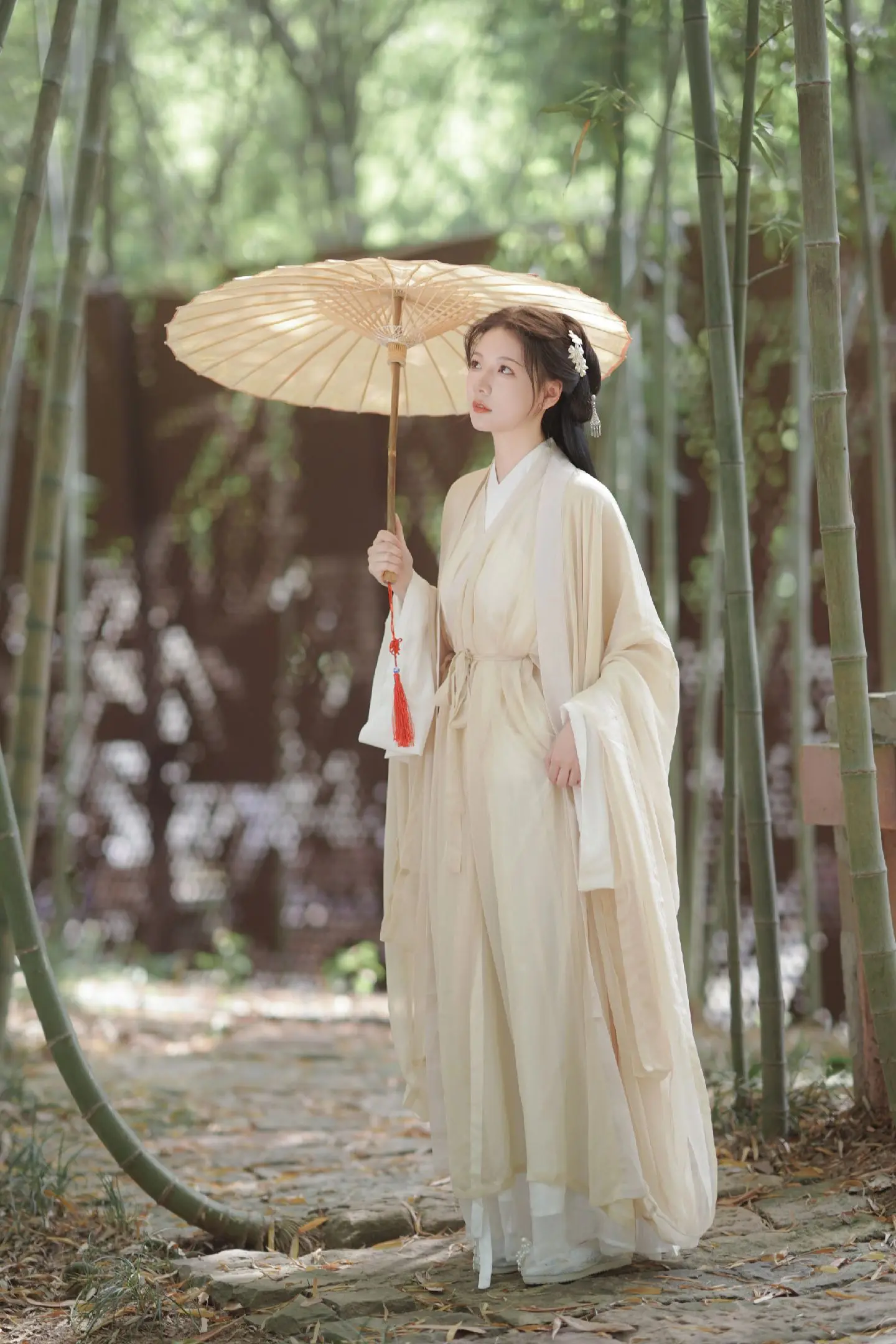 青衫烟雨客，似是故人来。
