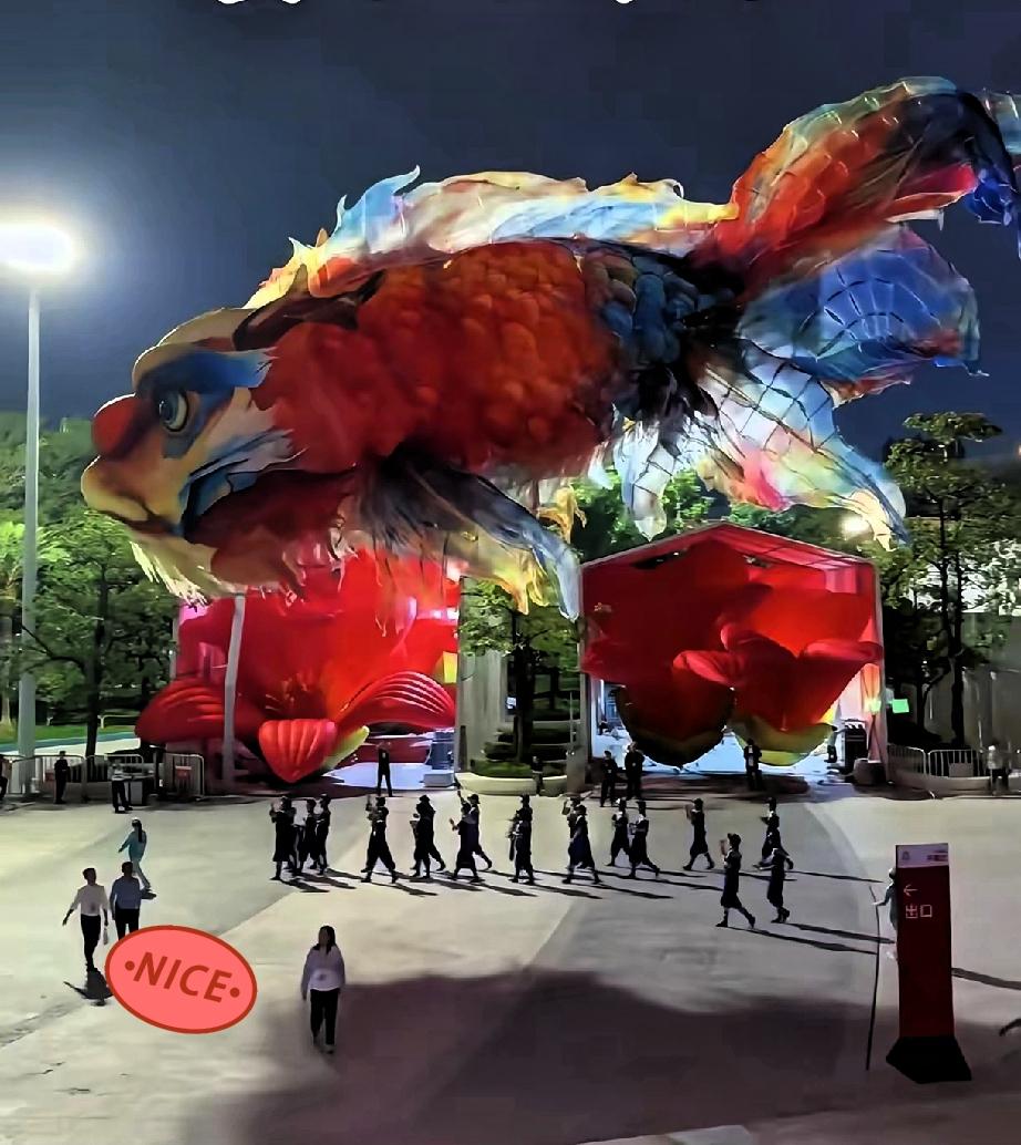 全运会开幕式
那条“飞天大鱼”的谜底
谁看了不疑惑？到底是

无人机编队还是暗藏