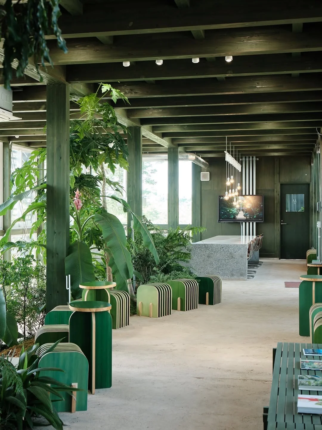 案例share｜把热带雨林搬进室内🌴