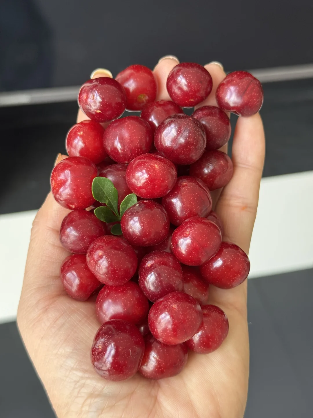 黑钻小樱桃，纯甜爆汁，倒计时4天！