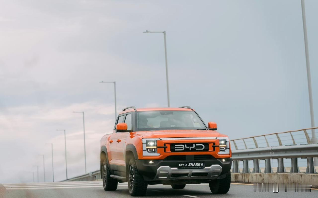 虽然是个小众车型，但是是真的帅气，霸气，尤其是前脸三字母BYD映入眼帘，辨识度极