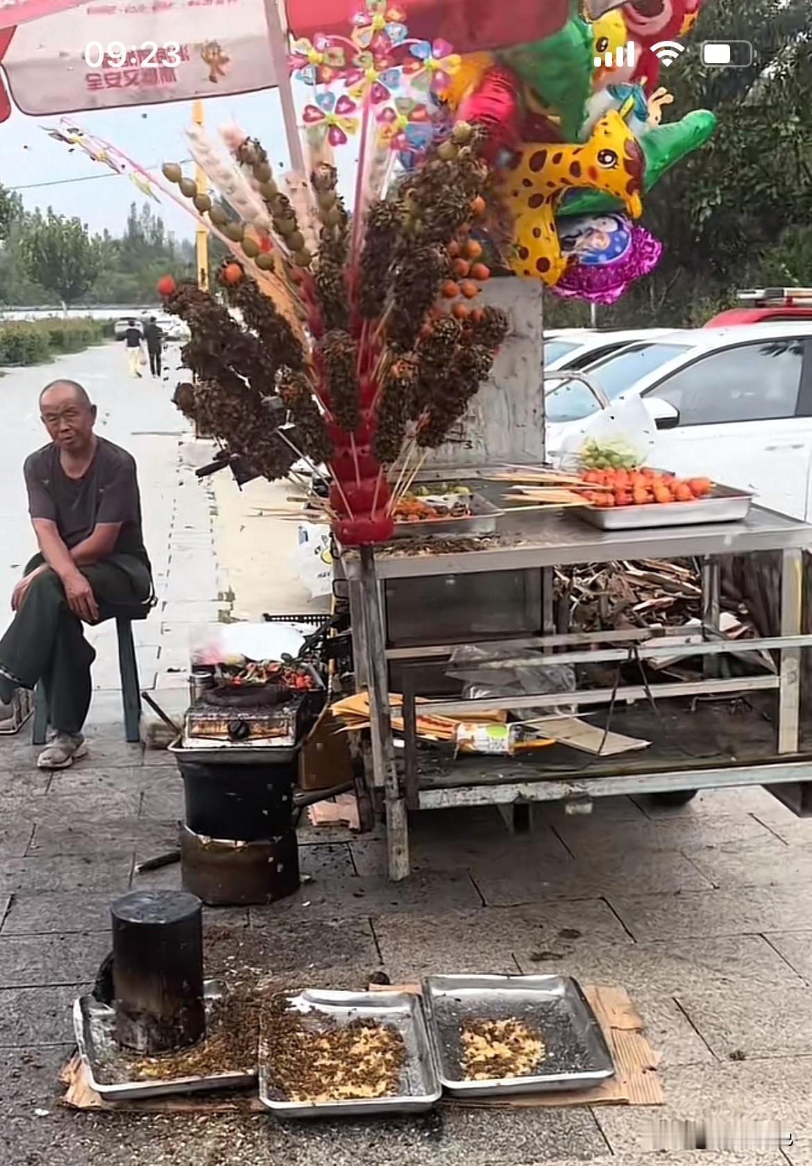 你见过被蜜蜂“攻占”的糖葫芦摊吗？一堆一堆蜜蜂的糖葫芦，你敢吃吗？

大爷的糖葫