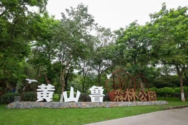 【看到砍树别乱猜！黄山鲁森林公园开展树木超限紧急整治】近日，南沙区工业和信息化局