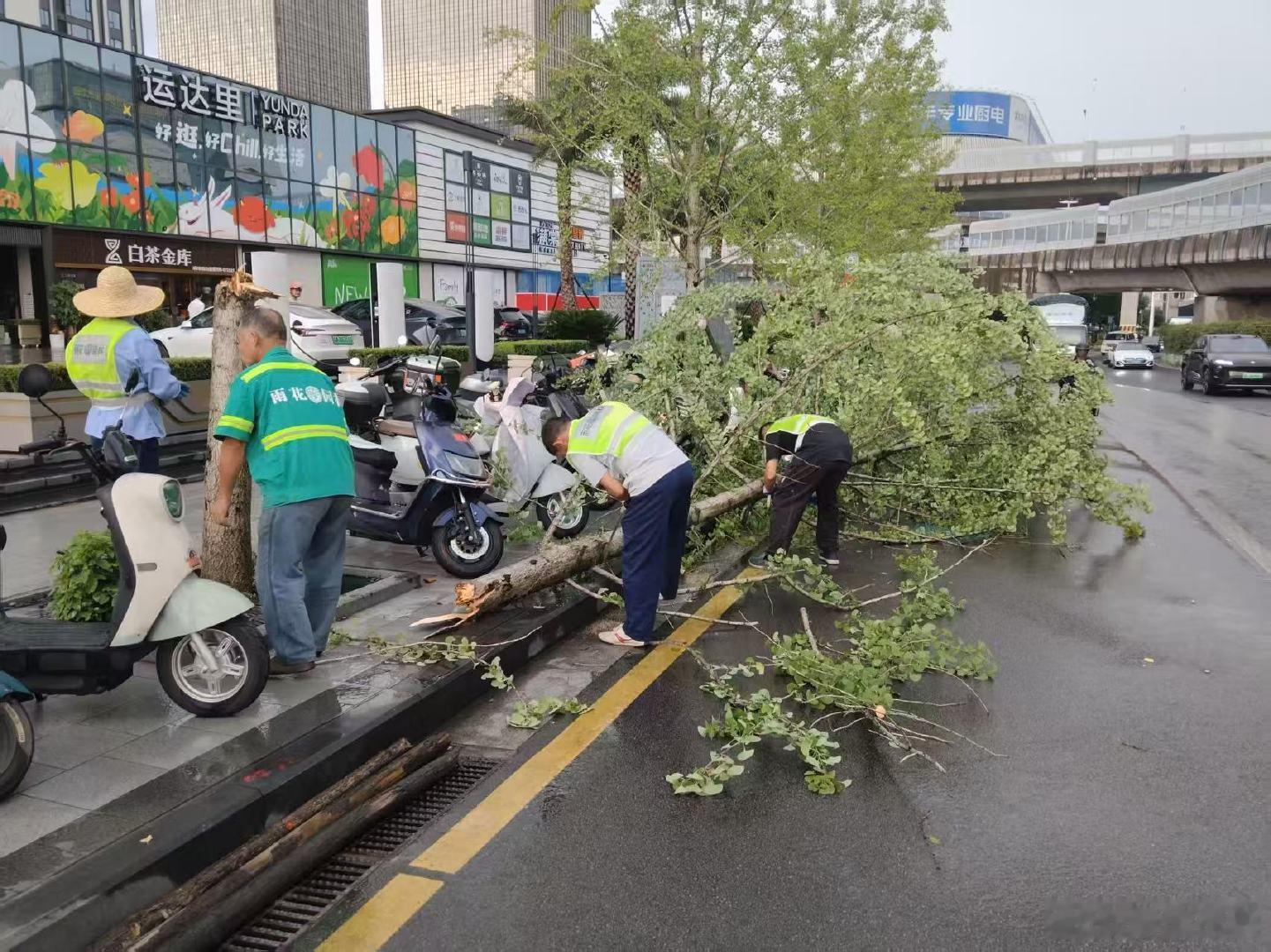 台风红霞来袭长沙城管在行动 【应对台风“红霞”，长沙城管在行动！】自今日上午起，