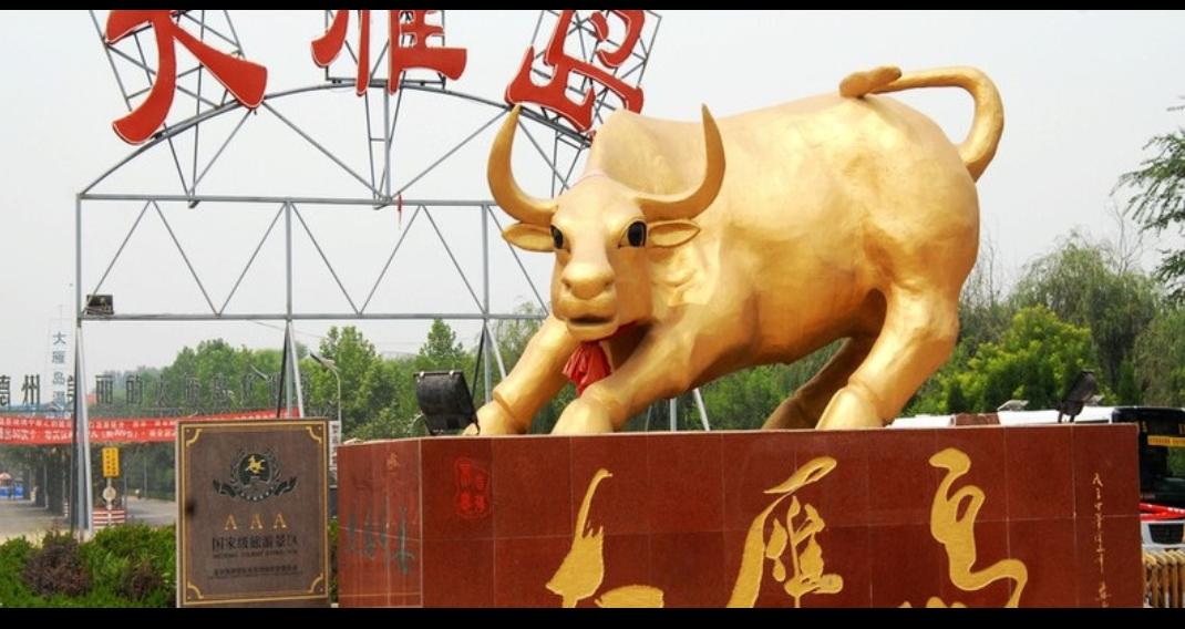 德州大雁岛：从辉煌地标到城市新生的期待！
    在德州人的记忆里，大雁岛曾是一