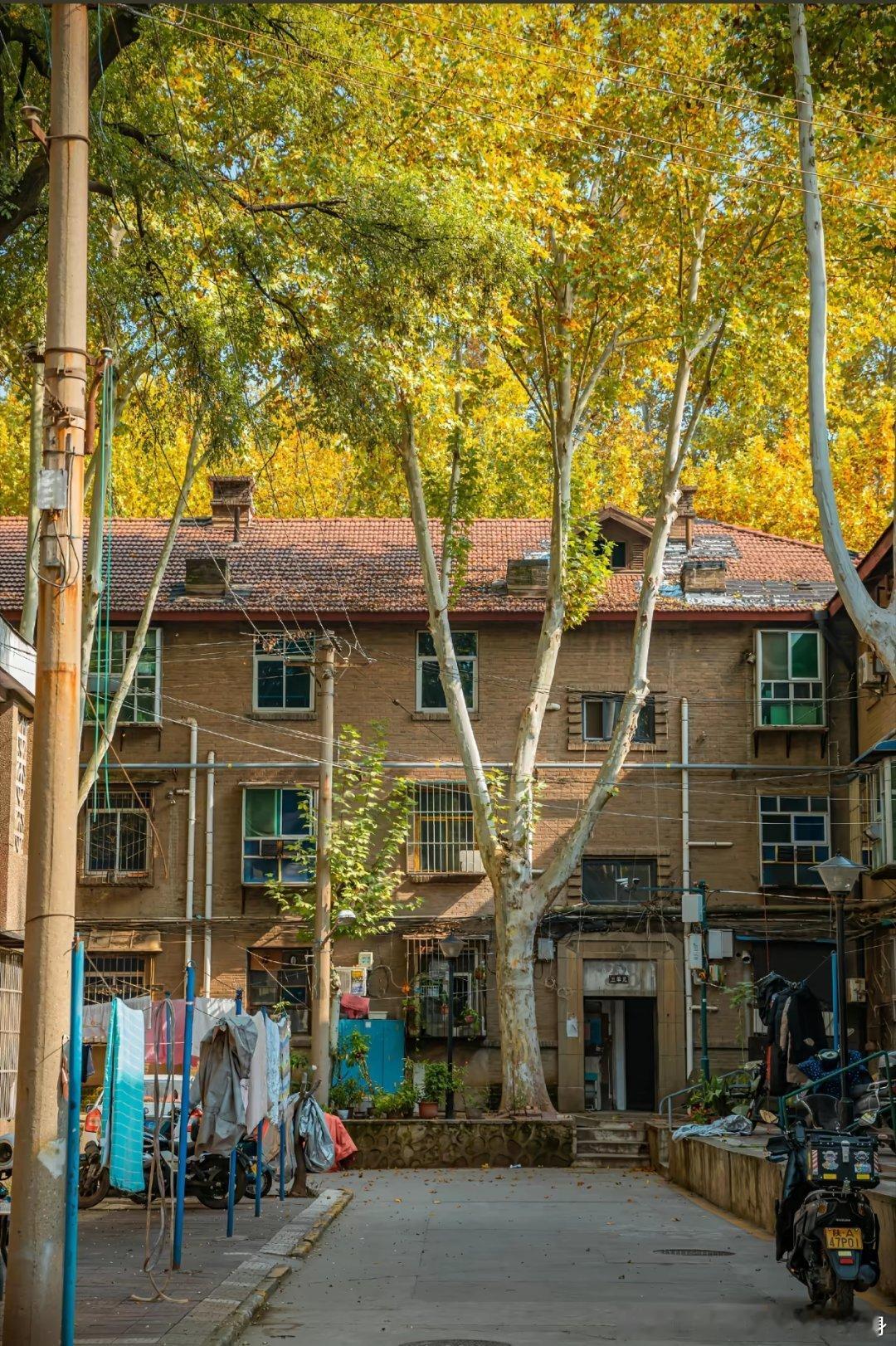 人间朝暮，叶落惊秋。