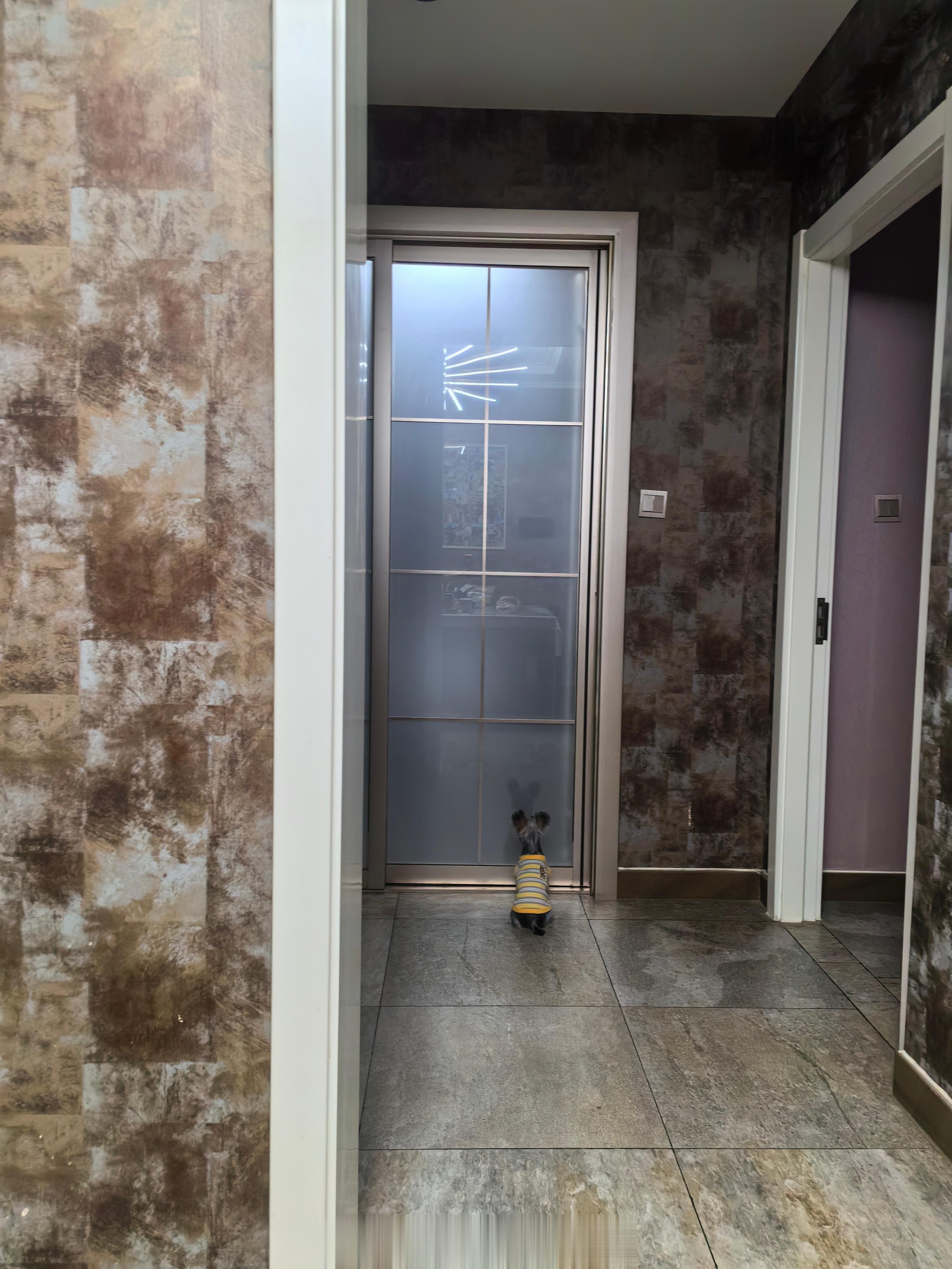 咬墙纸吃墙皮被我揍给一顿，人家现在要投靠他爹，背影坚定求实的………… ​​​