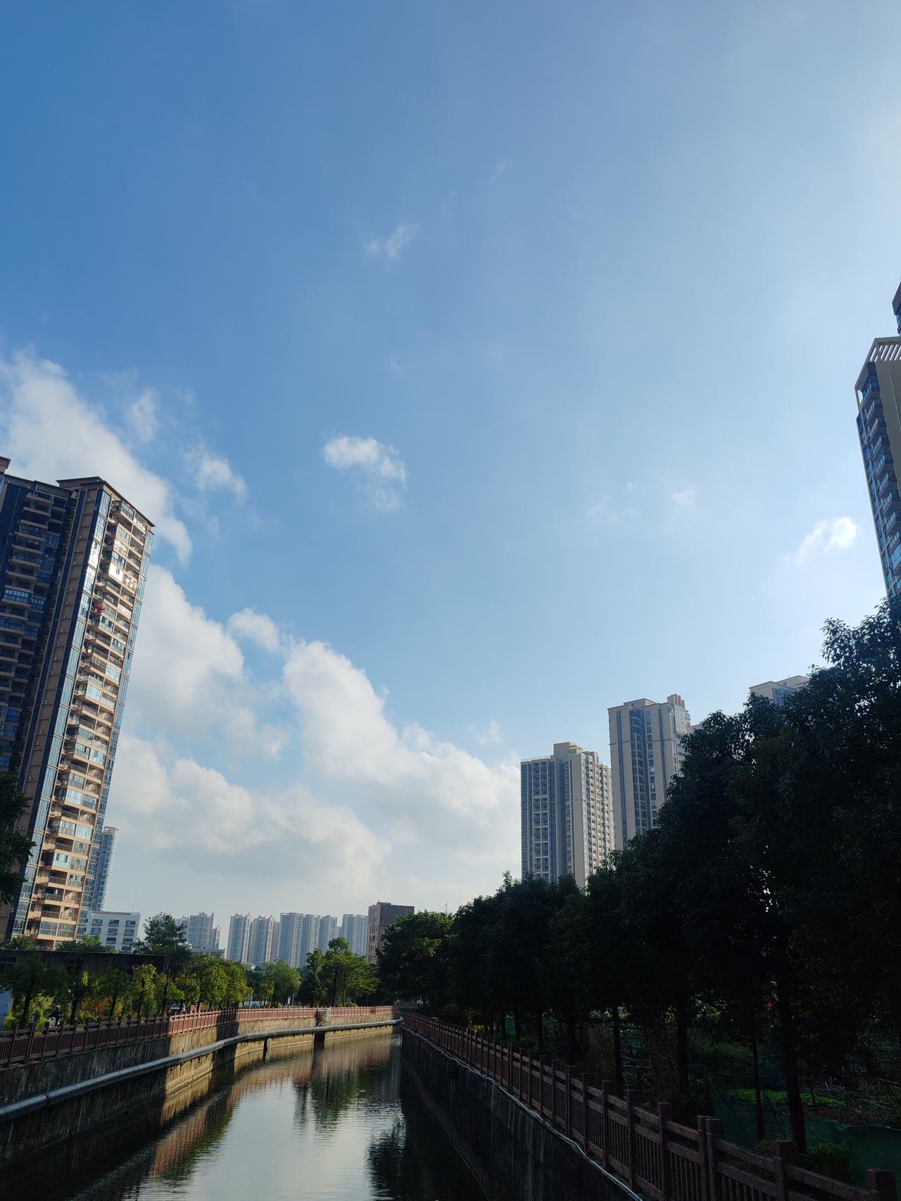 大亚湾这两天似乎又恢复了炎热，可一看日历，明天都要立冬了，街上穿短袖的人却还比比