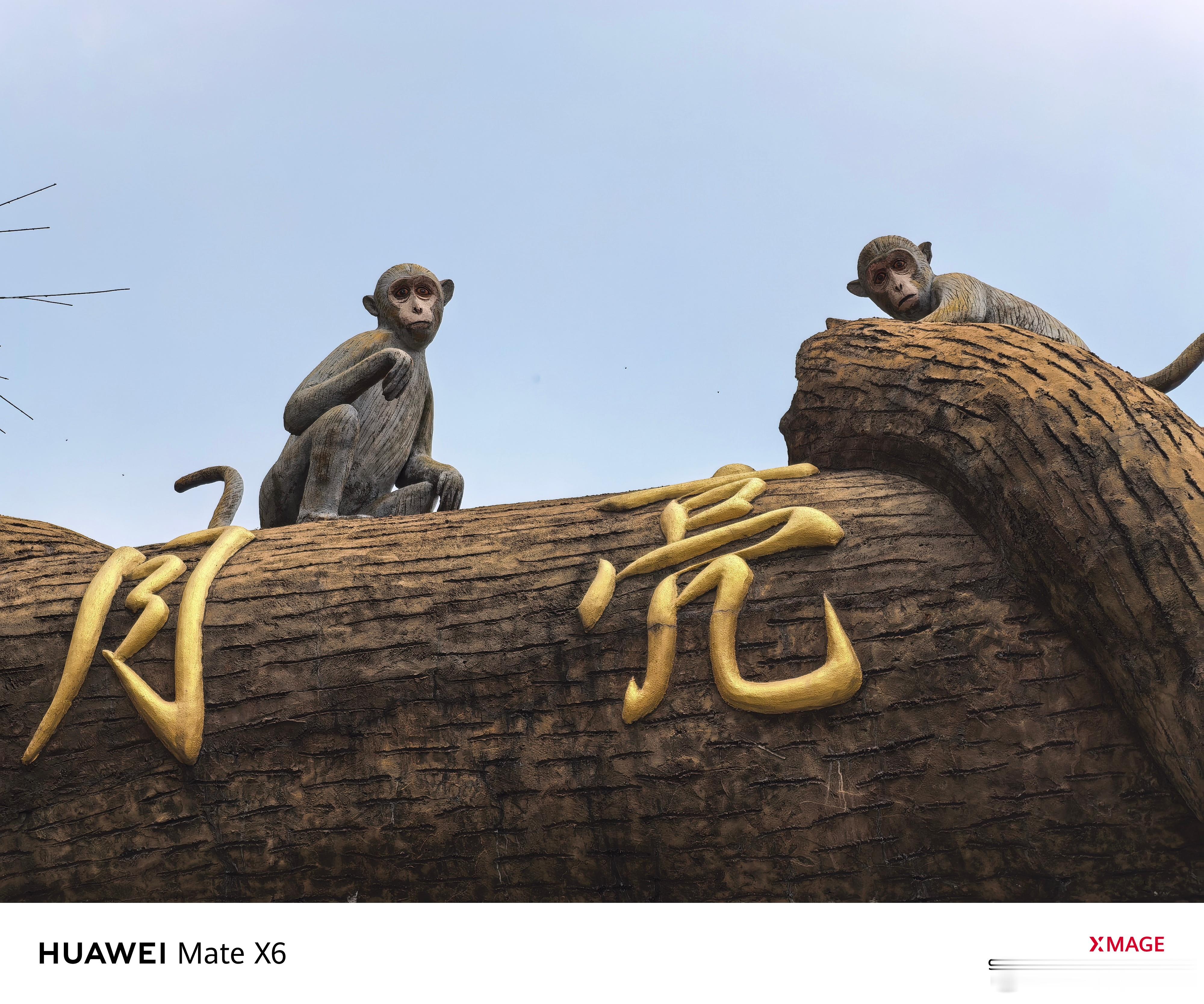 周末带家人去山上看猴子，惬意！ ​​​