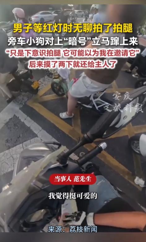 拍腿就是暗号！河南，一男子骑车等红灯，因天气炎热，他下意识地拍了拍大腿。没曾想，