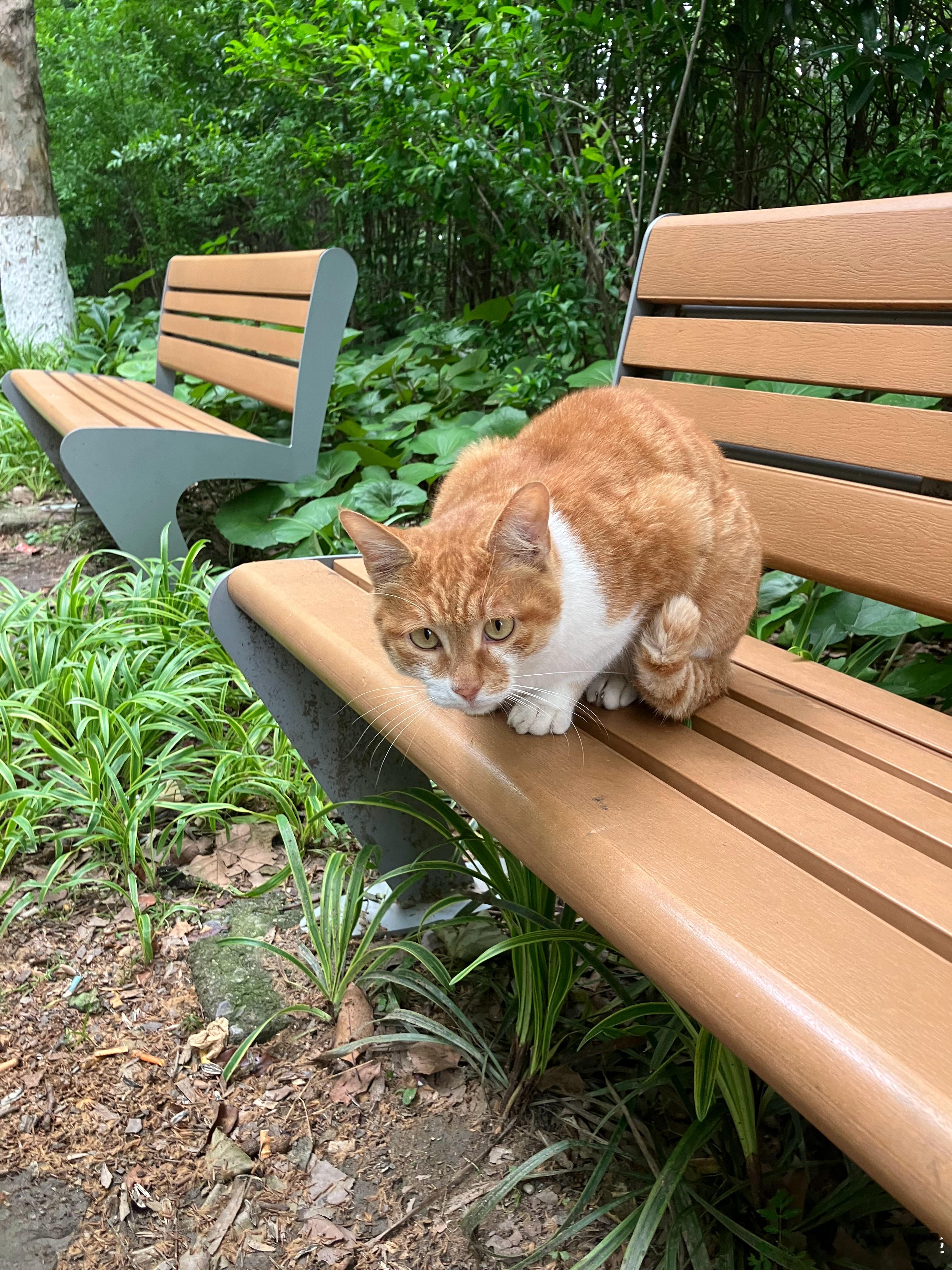 躺平？