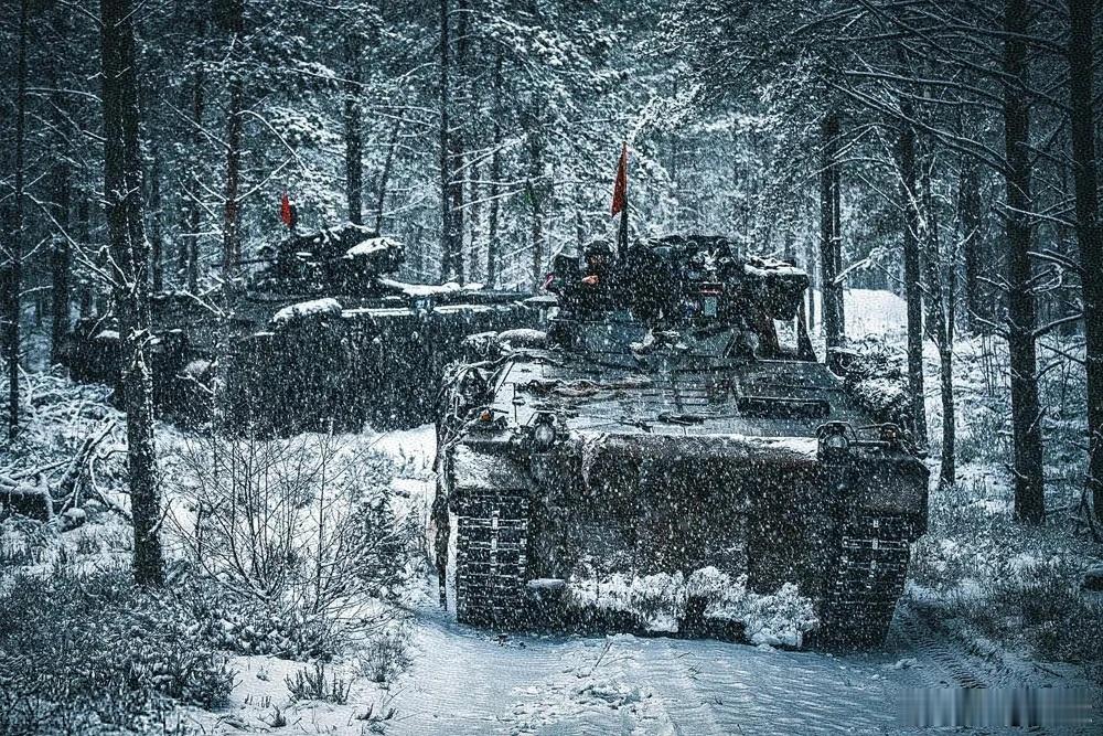 有点《兄弟连》的感觉北约驻立陶宛部队于2025年5月成立，由德国佬组建的第45“