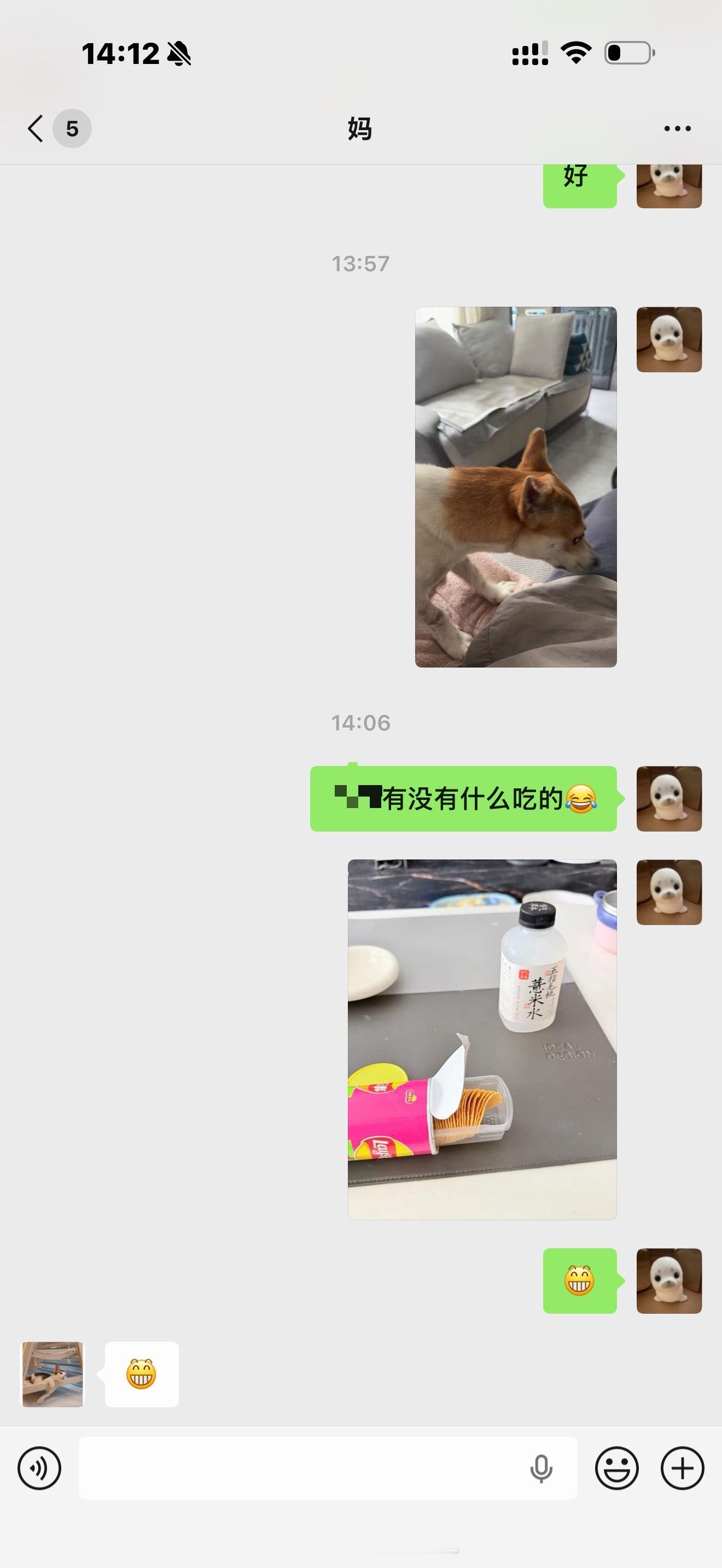 每次来我妈家就会到处找吃的 有种觅食的快感蝗虫过境