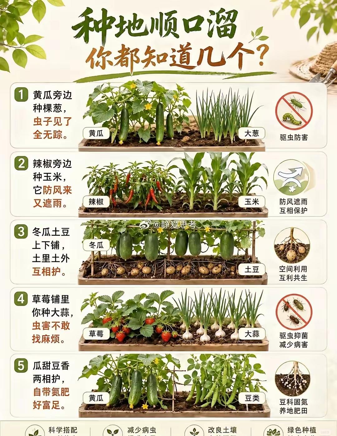 种地顺口溜你知道哪些