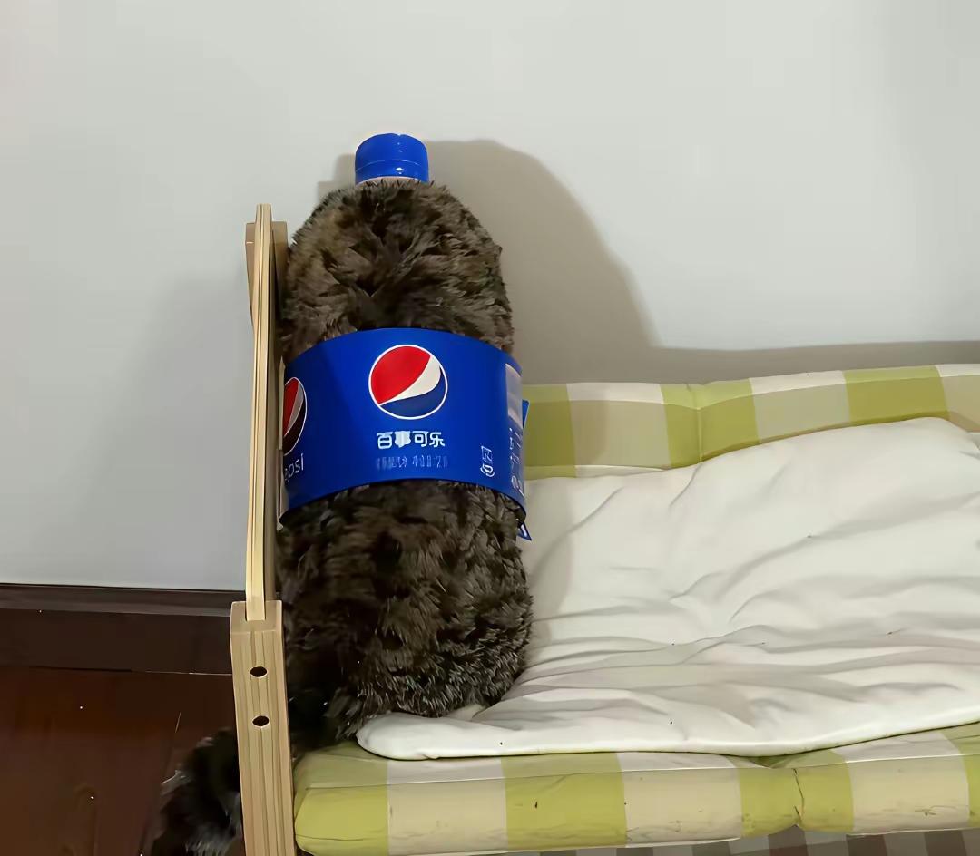 远看像可乐，近看是只猫。