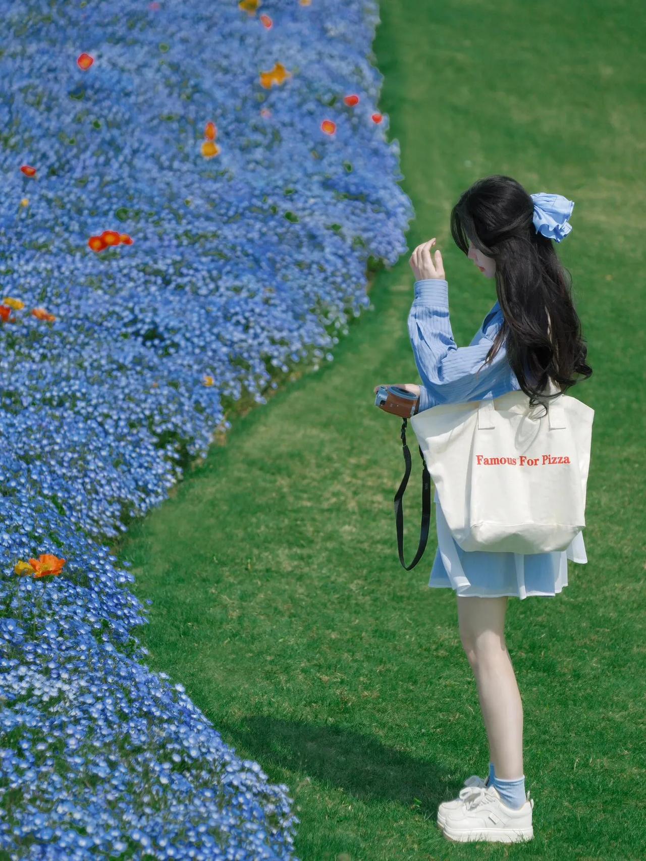 在花海中漫步