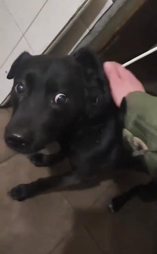 这波操作都看傻了。