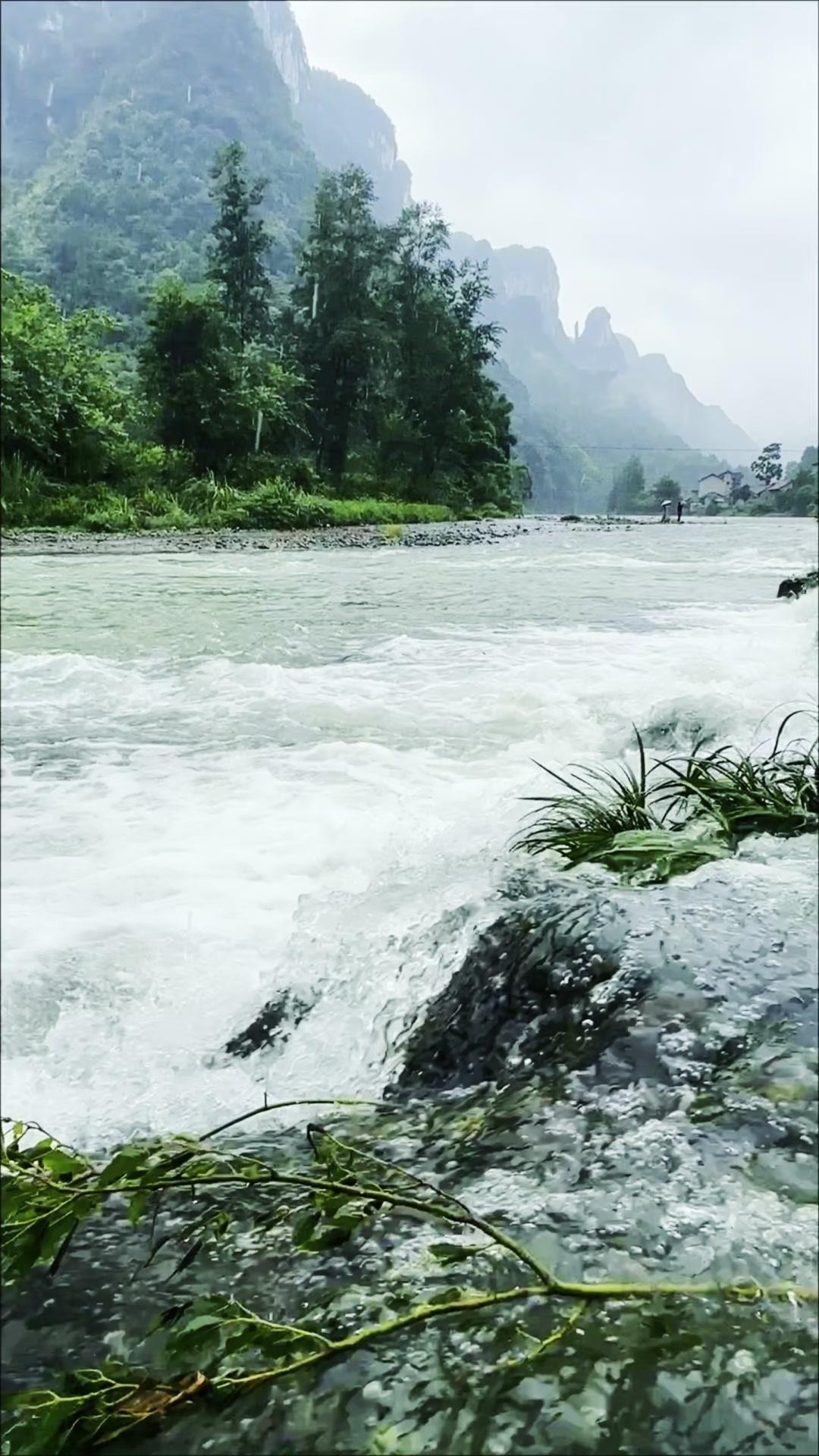 🌿沿山间小径漫步，撞见一汪清透见底的溪流，水声轻淌绕过石隙，山风裹着草木香漫过