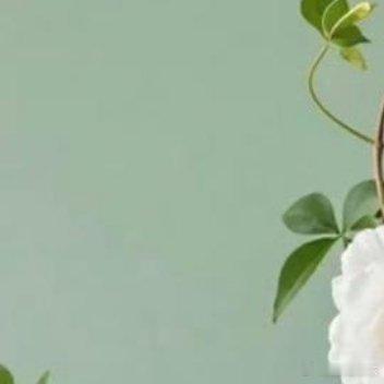 ☀⛅ ☼ᵕ̈ ᴹᴼᴿᴺᴵᴺᴳ ᵕ̈站在什么地方不重要，重要的是往什么方向移动。 