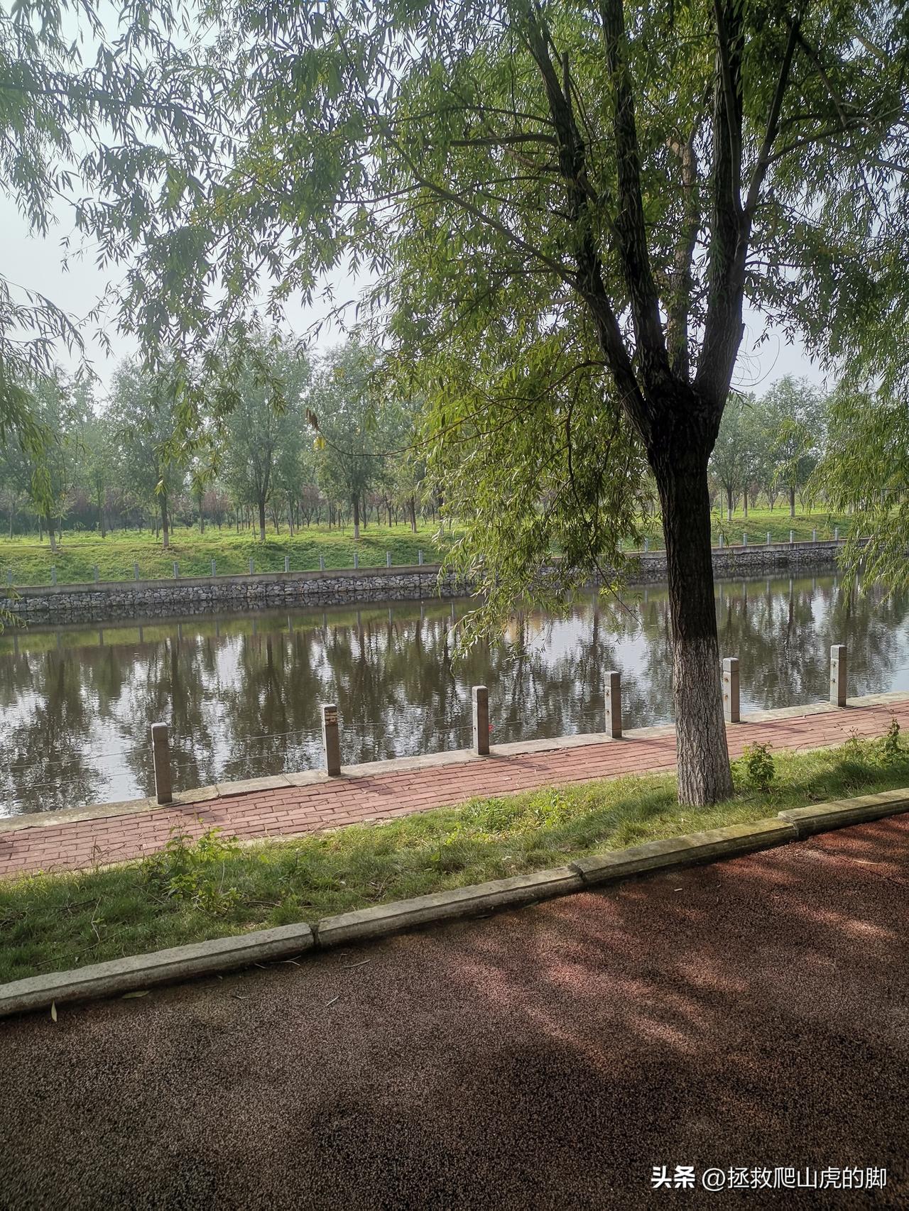 晒图笔记大赛随手拍下的美好时光