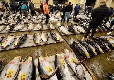 12万吨海鲜烂港！
日本水产品失中国市场难寻替补
 
因核污染水排海及涉台错误言