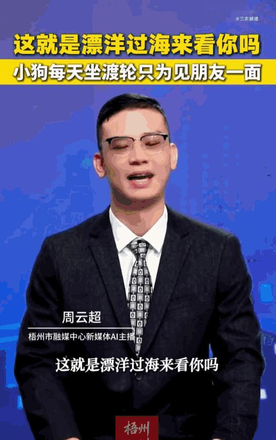 天下之大无奇不有！湖北荆州，一只小黑狗，为了能天天和长江对岸的“好哥们”相聚，竟