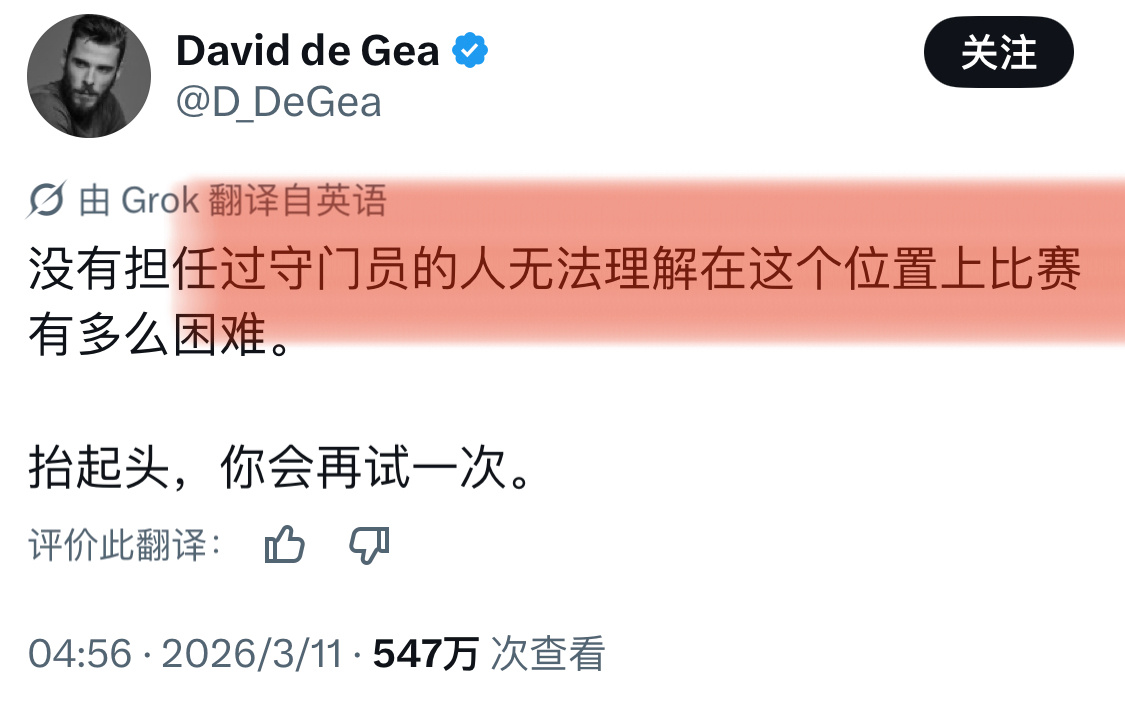 德赫亚人还怪好的 给其他门将抱不平。。。但足球不就是这样吗 “菜是原罪”