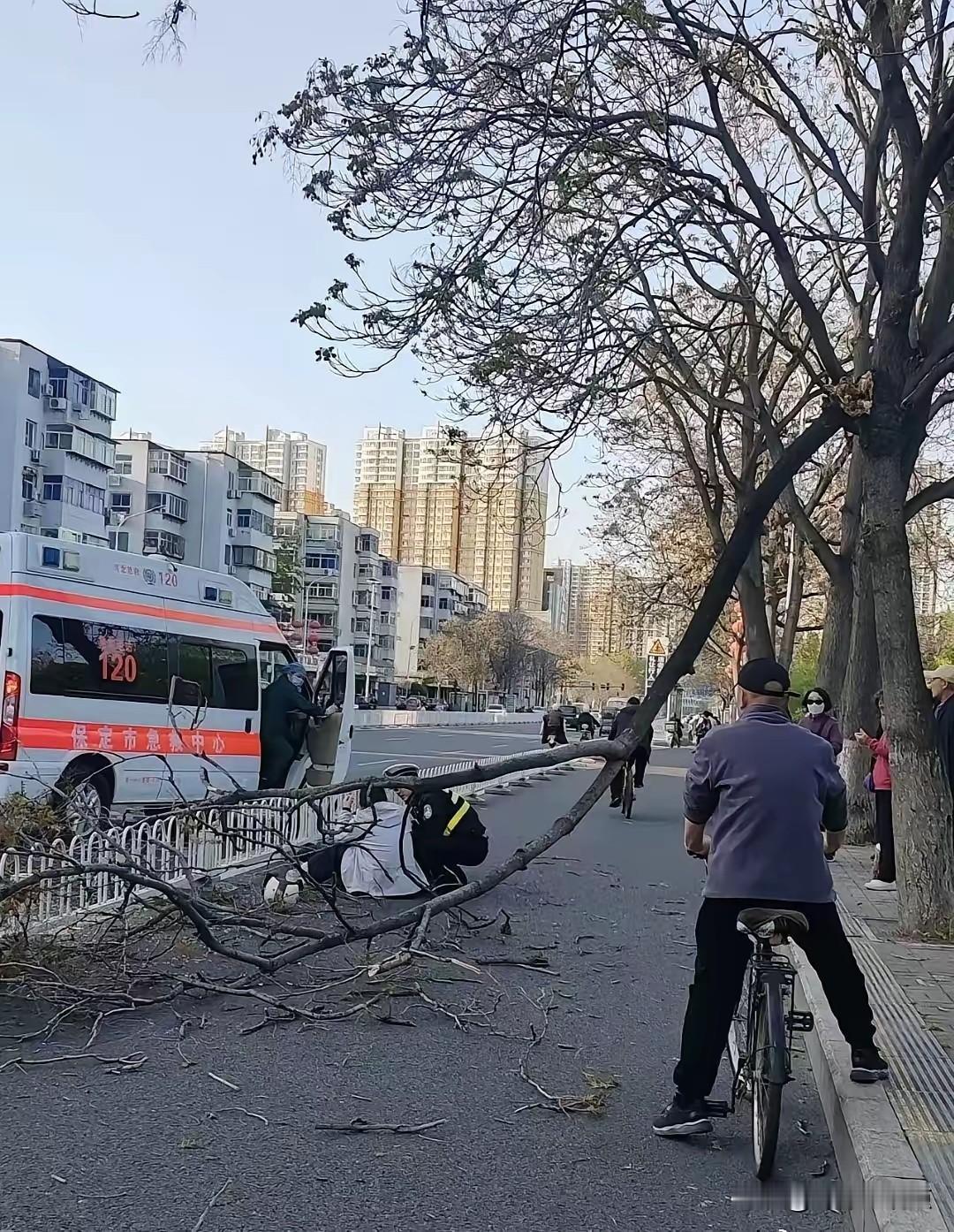刚刚有保定网友给我提供了这么个照片，说是昨天在保定长城大街上，一个骑电动车的骑着