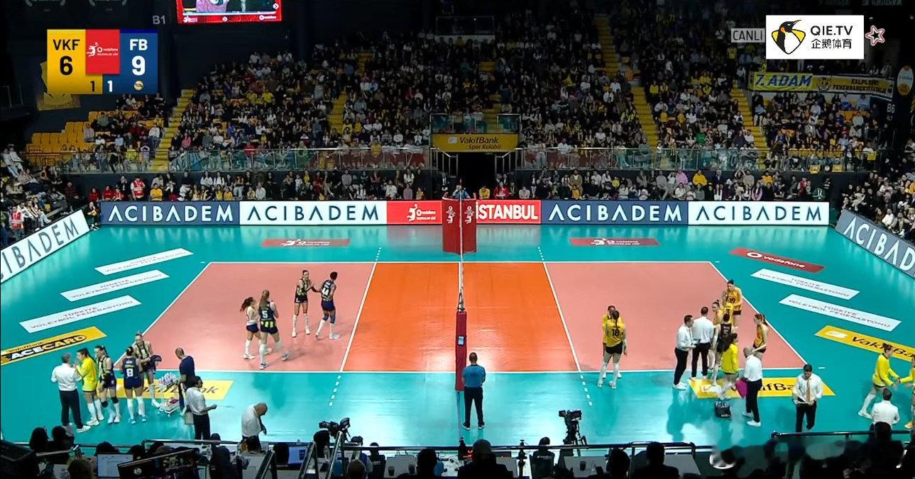 瓦基弗别在主场翻车哈，加油！女排 国际排坛动态