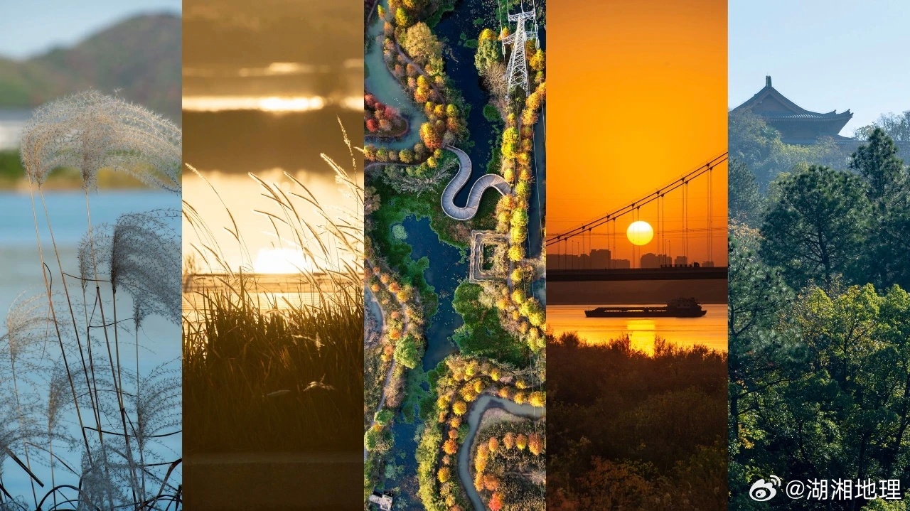 #湖南刷新最晚入冬纪录#一年好景君须记，最是橙黄橘绿时。长沙最美秋天即将落幕，地