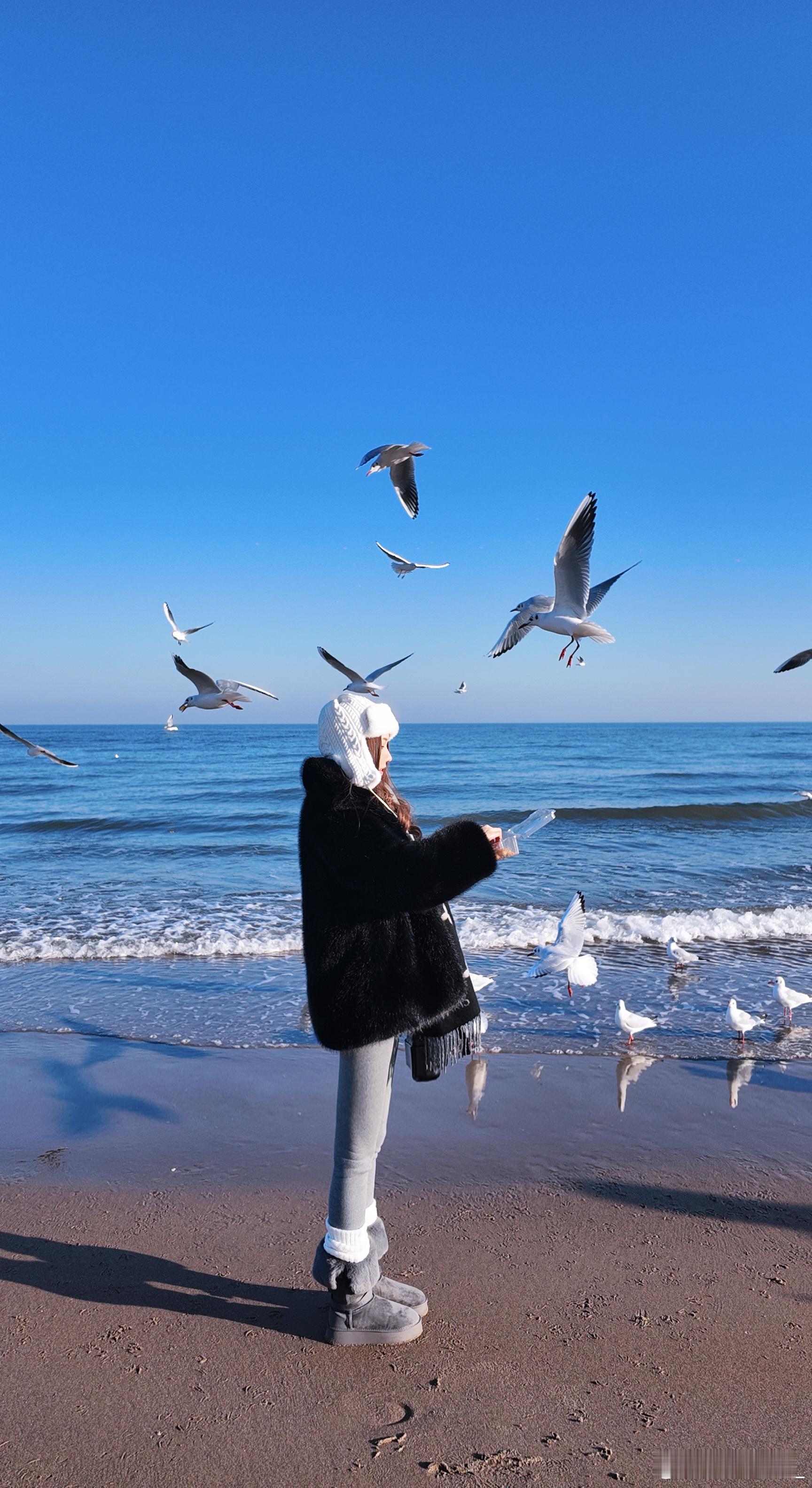 有人相爱 有人夜里看海🌊阿那亚海鸥我的旅行日记海边
