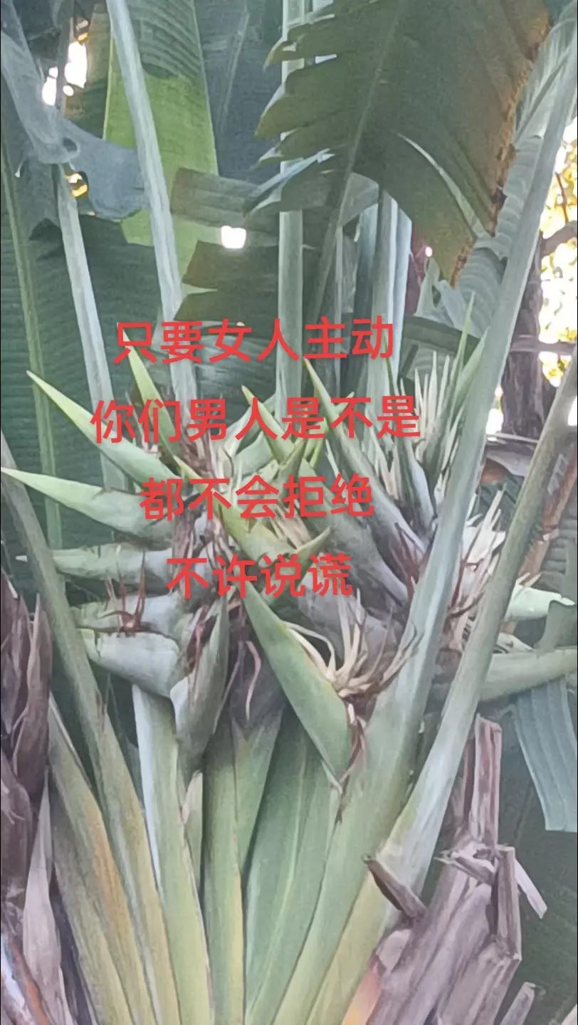 哈哈哈娱乐一下😂😂😂
