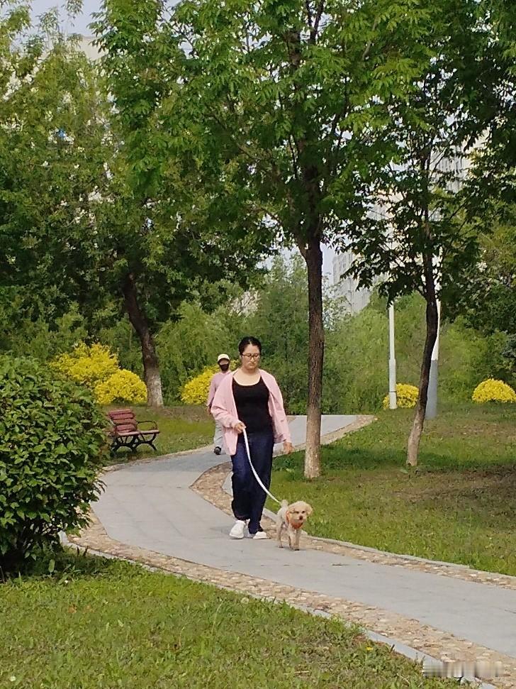 忠犬
荏苒时光犬为伴，
手挽长绳溜河畔
碎步小跑两相宜，
请续句……
（踏破晨曦