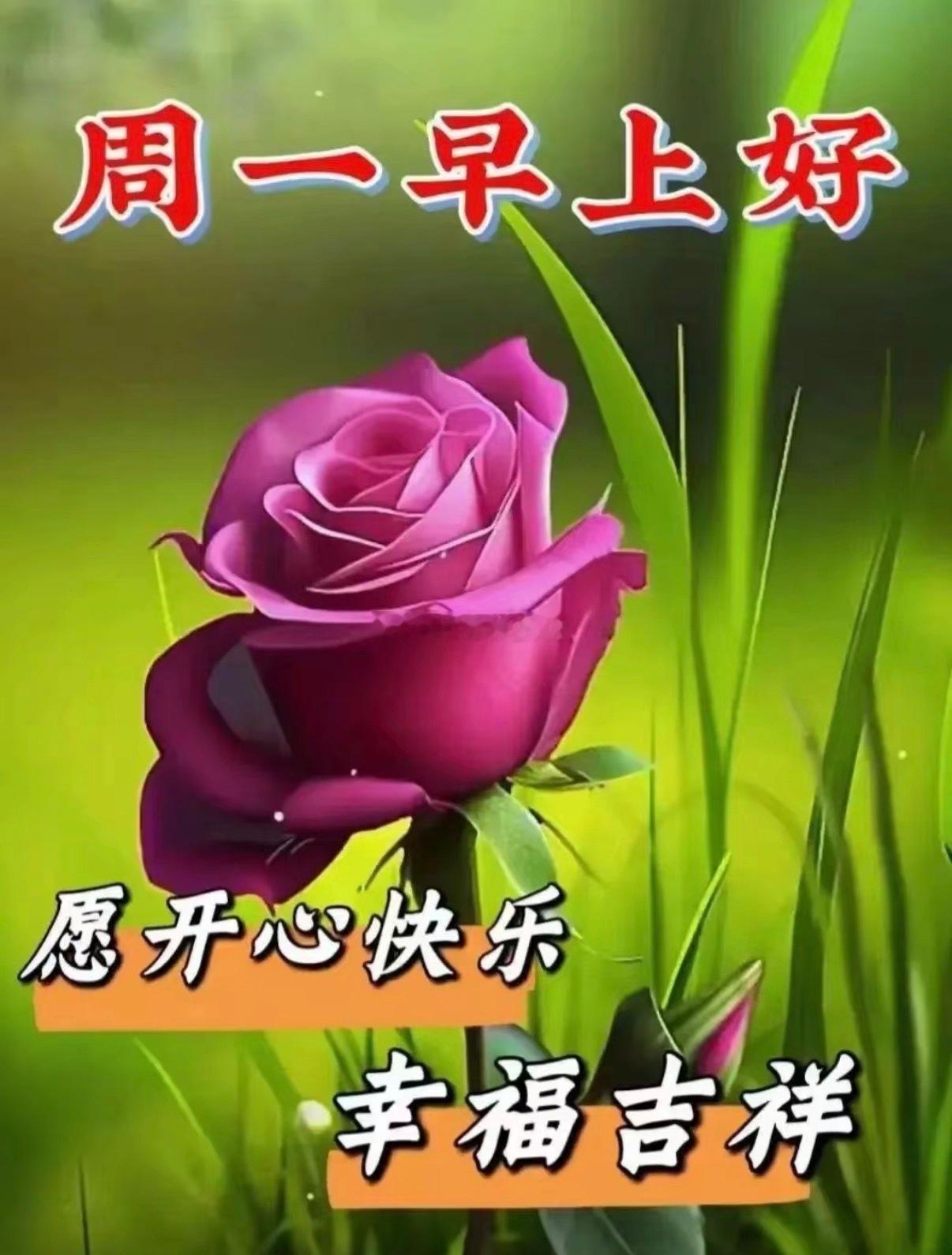 今天周一，大家早上好！全体集合了～～～起床的赶紧动起来，免费点赞+评论666安排
