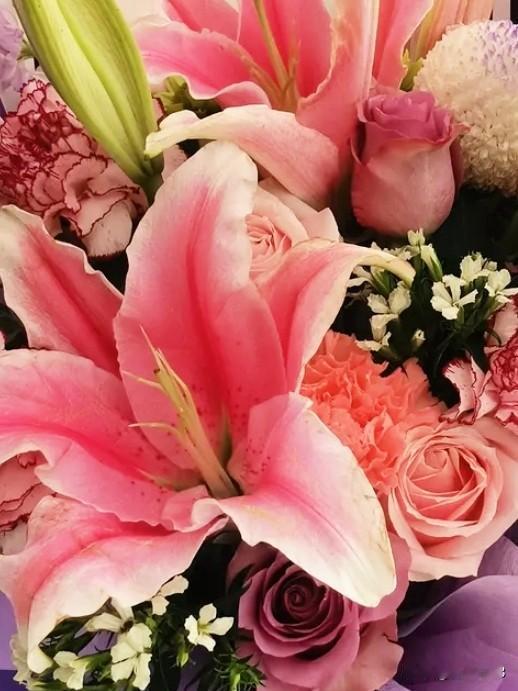 人无论老少，
健康的身体最值钱。

尤其是老了，
病了、不能动了。

身体健康是