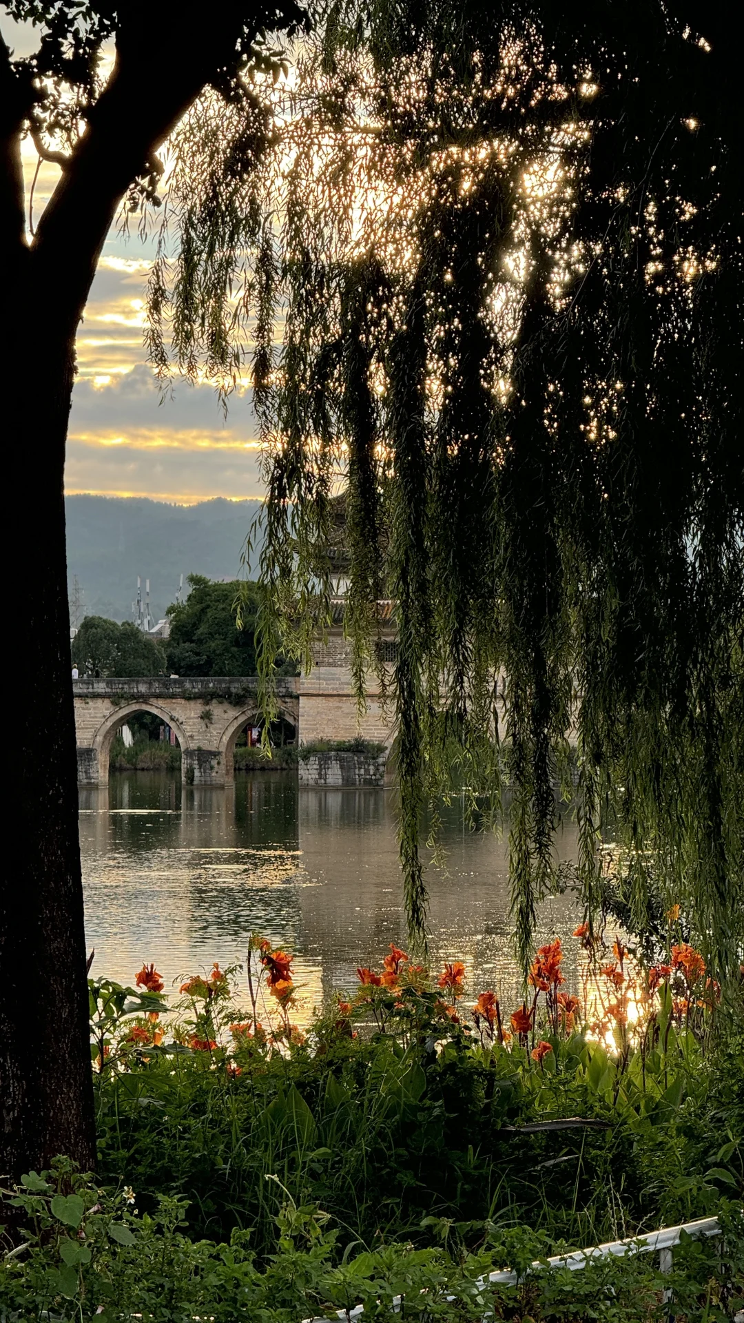 满屏感受云南☁️🌿