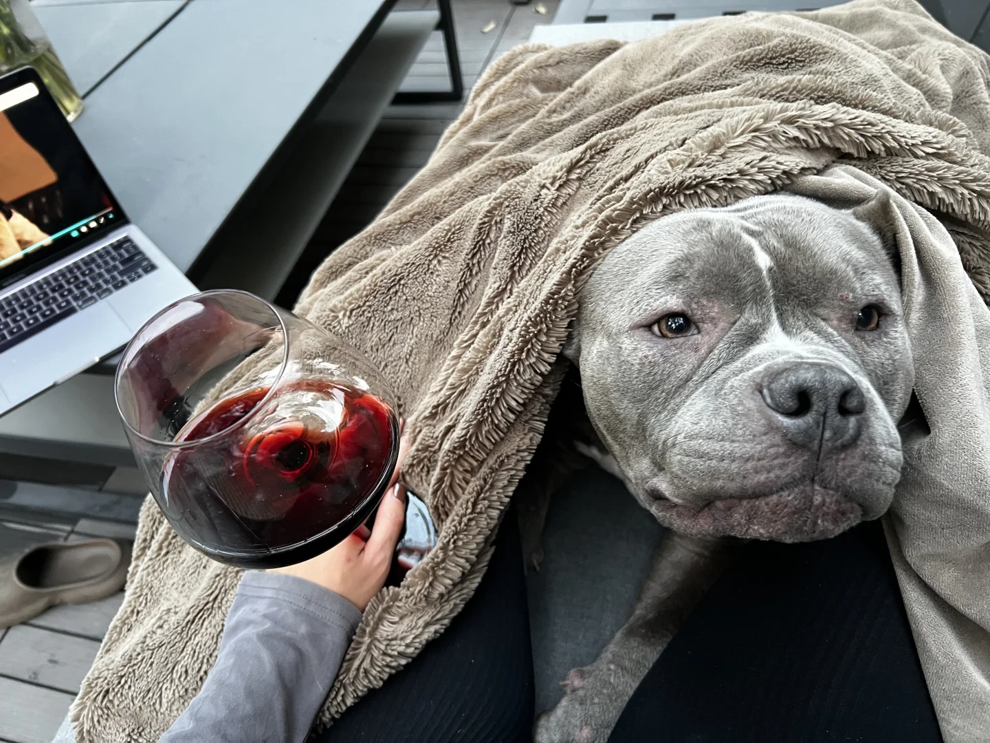 Happy Chinese new yearrrr🥂🎊