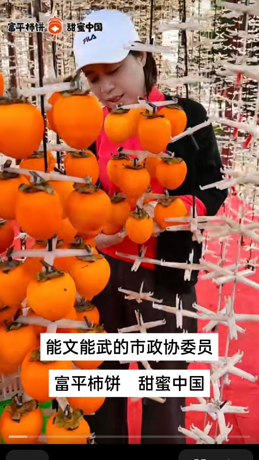 能文能武的市政忇委员，“富柿花”柿饼创始人石华丽，富平柿饼，甜蜜十国。